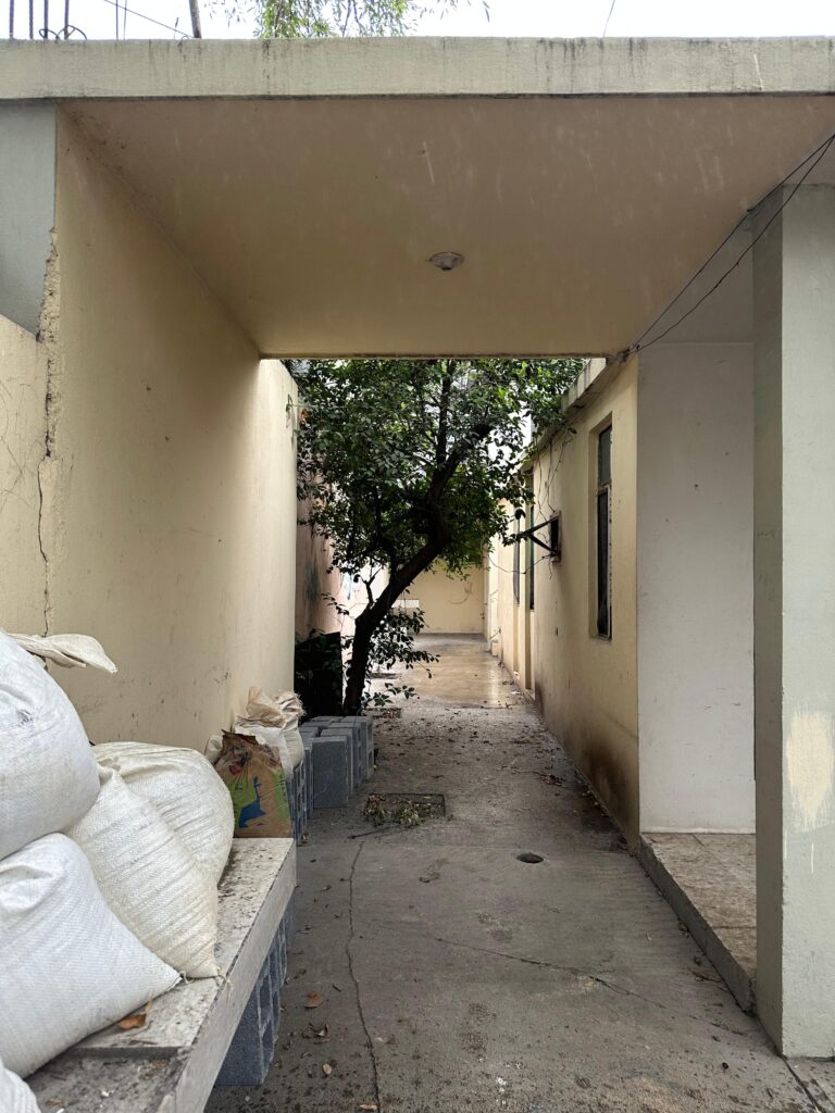 imagen de whatsapp 2025 06 08 a las 13.00.14 2ee6ba3f